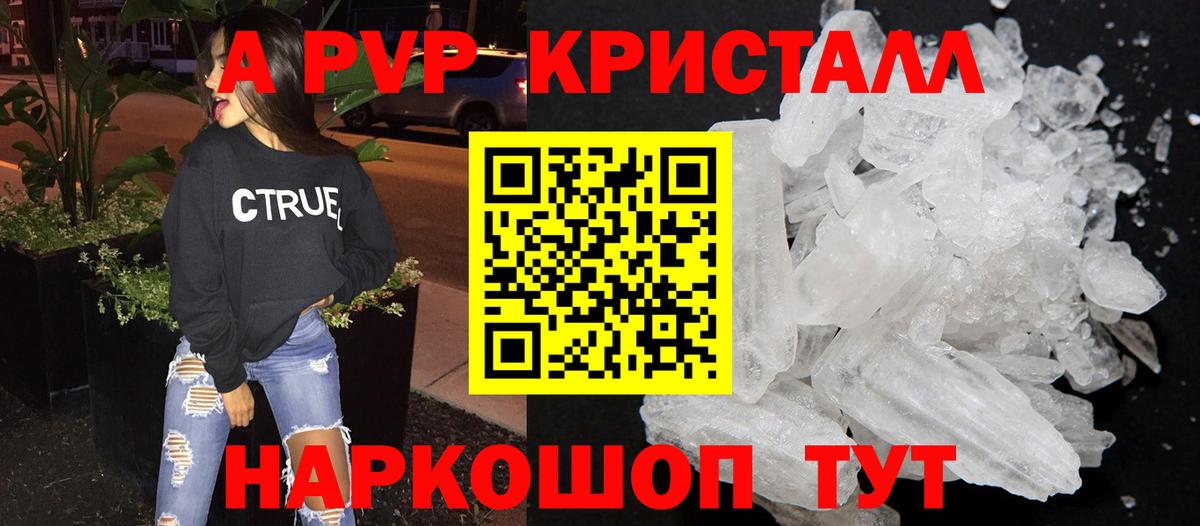 Альфа ПВП СК Губкинский
