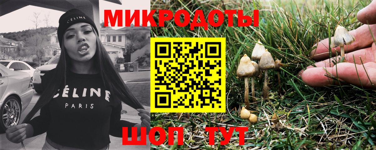 Псилоцибиновые грибы мицелий  Псилоцибиновые грибы Psilocybe  Вход с VPN  Губкинский 
